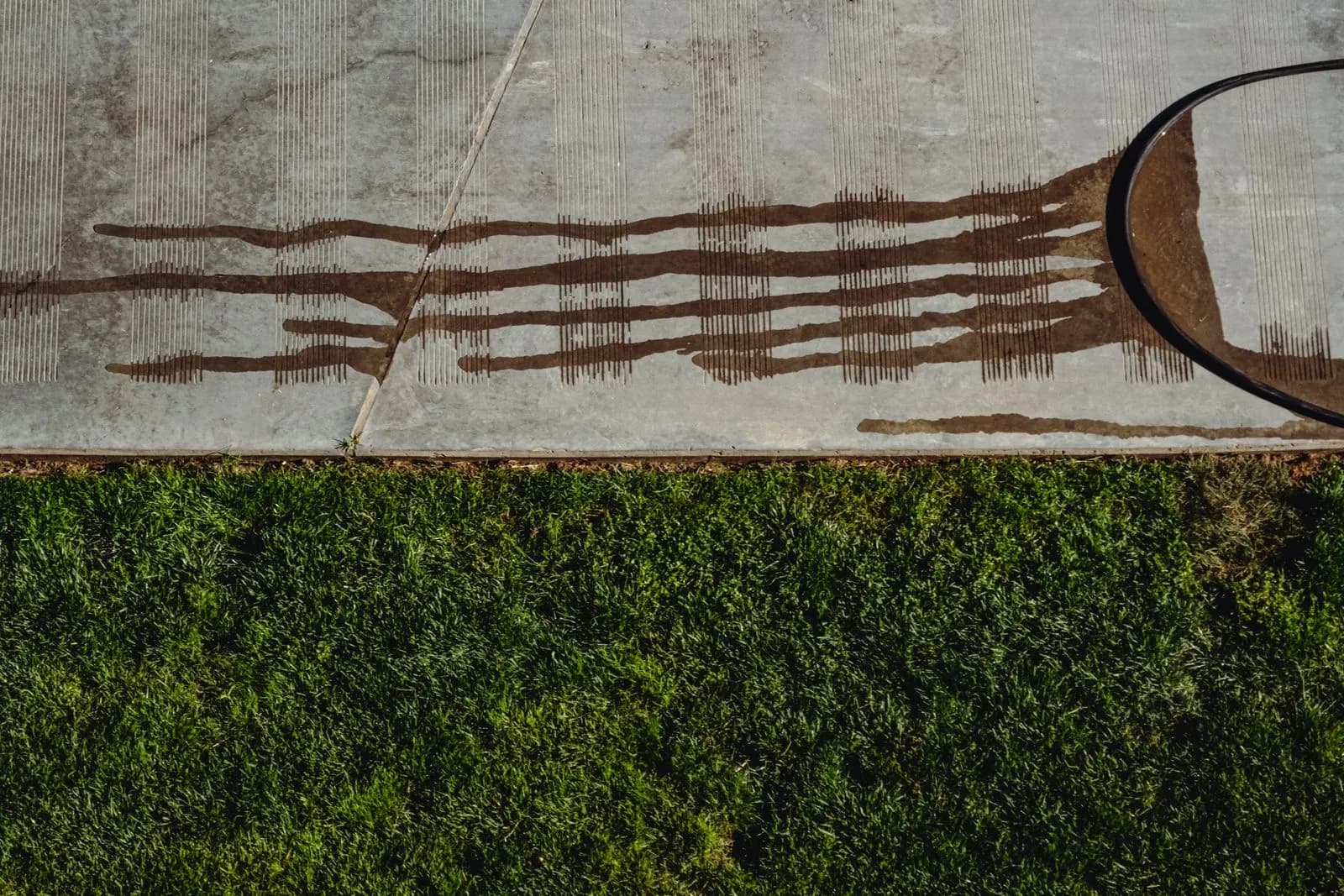 Overhead view of a concrete sidewalk being rinsed, with runoff streaking toward the lawn