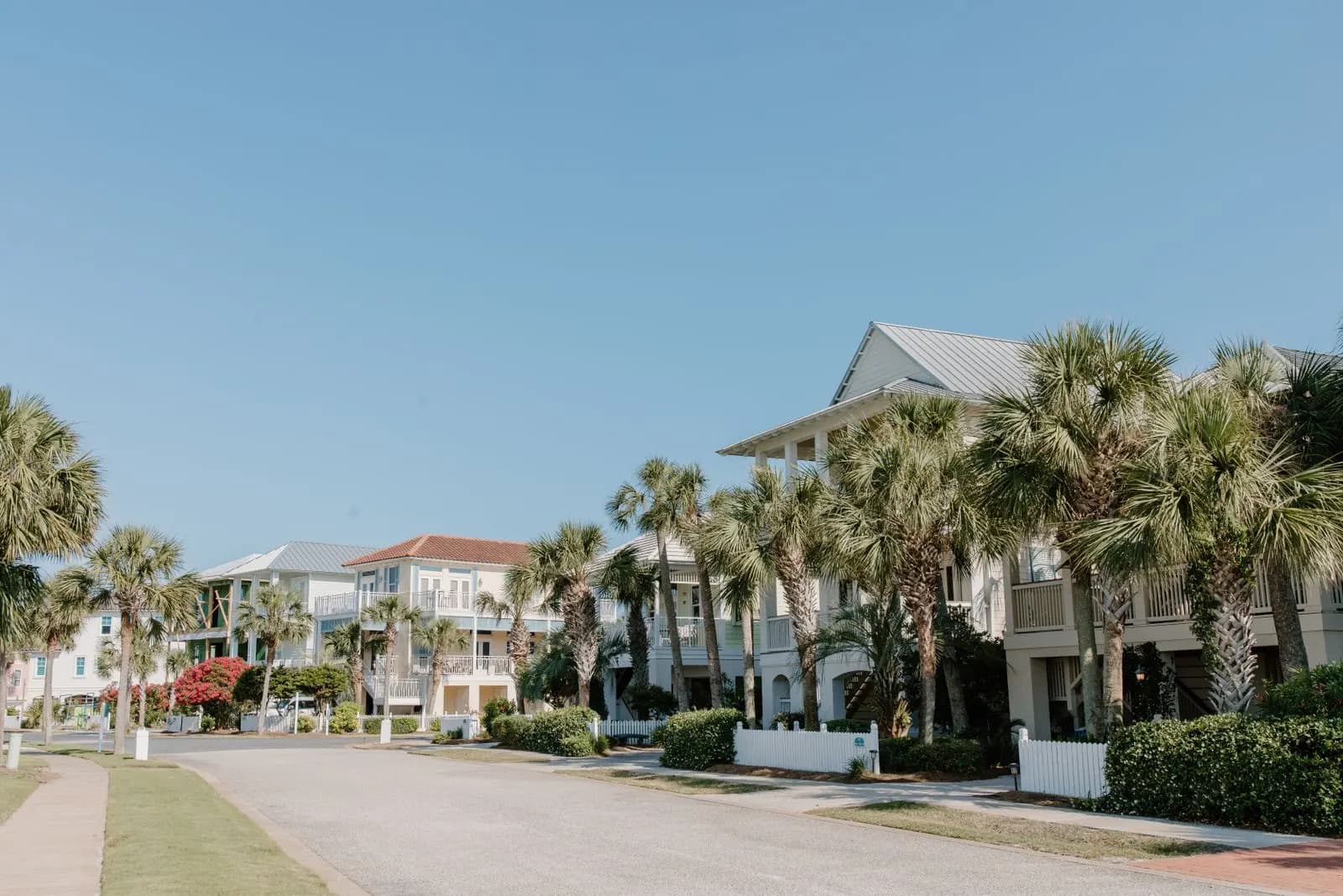 Residential street lined with palms and white two story homes