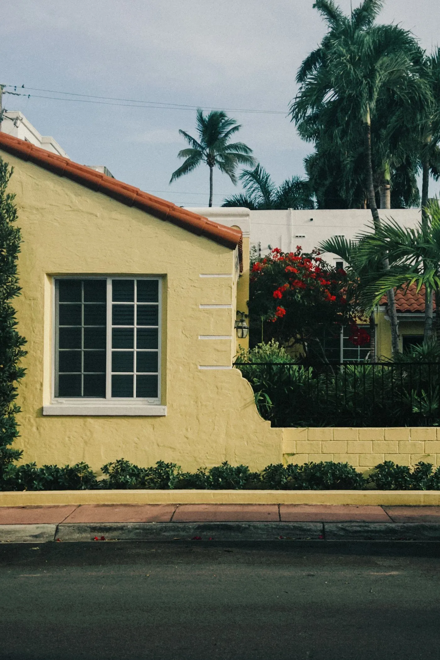 Yellow stucco house with a barrel tile roof, flowering shrubs and palms
